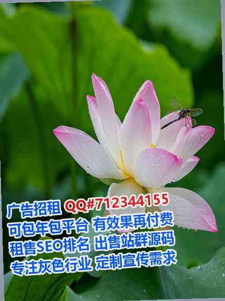 滁州卵妹宠物门市部